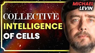 Michael Levin Consciousness Biology Universal Mind Emergence Cancer Research [upl. by Elamrej721]