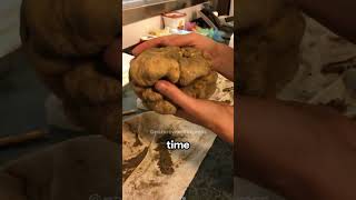 White Truffles  Natures Luxury Delicacy [upl. by Alanna]