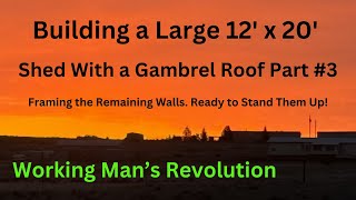 Building a Large 20 x 12 Shed with Gambrel Roof Part 3 Building the remaining 3 walls [upl. by Netneuq]