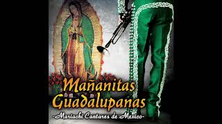 📀 Mañanitas Guadalupanas Disco Completo Mariachi Cantares De Mexico 📀 [upl. by Drawyeh]