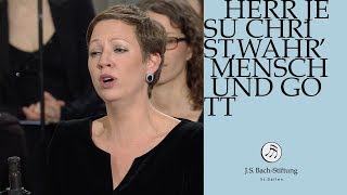 JS Bach  Aria quotDie Seele ruht in Jesu Händenquot from Cantata BWV 127 [upl. by Vitek]