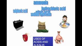 Acids and Alkalis  Introduction and Indicators Grade 7 [upl. by Nnomae343]