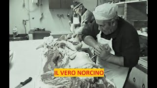 IL VERO NORCINO [upl. by Bogey28]