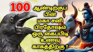 100 ஆண்டிற்குப் பின் மகா சனி பிரதோஷம்  ஒரு கைப்பிடி உணவு காகத்திற்கு  sanikilamai prathosam [upl. by Huston]