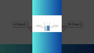 OSMOLES and DIFFUSION OF WATER physiology osmosis diffusion osmoticpressure biochemistry [upl. by Ogram342]