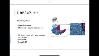 37  Cytoplasmic Organelles [upl. by Anoi]