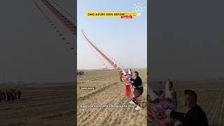 Biggest Kite Ever😱😱 Kite Flying🪁 kite kites kiteflying patang shorts [upl. by Epilif743]