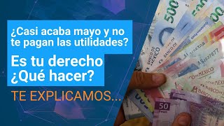 Utilidades 2024 ¿Por qué razón aún no te pagan  Dinero en Imagen [upl. by Arihaz741]