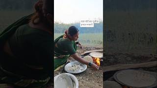 बारीक माशांचा रस्साचुलीवर भाकरी चुलीवरभाकरी माशाचारस्सा fish aartiarke shortsviral shrots [upl. by O'Connor]