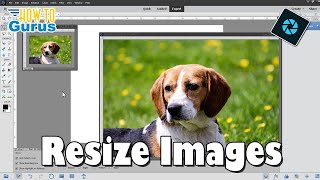 Resize Images the Right Way in Photoshop Elements [upl. by Meela]