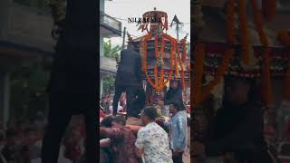 PHARPING HARISHANKAR JATRA2081 pharping travel festival jatra newari [upl. by Mcleod]