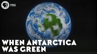 When Antarctica Was Green [upl. by Kahle]