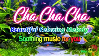 Beautiful Cha Cha Cha Relaxing Instrumental 2024  Latin Cha Cha Melody Soothing Music For You [upl. by Jacobson]