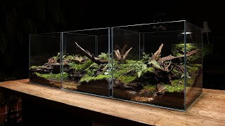 Build a 3piece 45cube Moss terrarium  3개의 조각 45큐브 이끼 테라리움 만들기 [upl. by Aer]