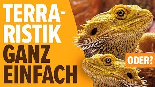 Terraristik ganz einfach oder  NORBERT ZAJAC  Zoo Zajac Duisburg [upl. by Corabelle]