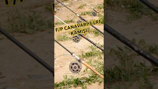 quotFiyatPerformans Canavarı 3 LRF Kamışıquot fishing carpfishing lrf youtubeshortsfishingtips [upl. by Adnilemreh189]