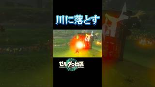 ファイアウィズローブ川に落とすゼルダの伝説 ティアキン tearsofthekingdom nintendoswitch [upl. by Ellekcir]