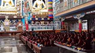 Prayer at Namdroling Monastery Coorg [upl. by Aisyram]