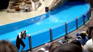 Mime Artist Clyde and Seamore take Pirate Island Seaworld Florida Part Two in HD [upl. by Aevin]