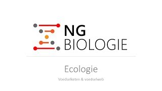 Ecologie  voedselketen en voedselweb  HAVOVWO [upl. by Kesley]