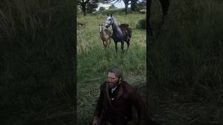 Training the two horses for saddle in RDR2🔥⏱️rdr2arthurmorganhorsetrainingtamilgamingshorts [upl. by Anamor]