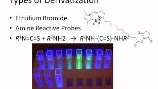 Fluorescent Derivatization [upl. by Rog]