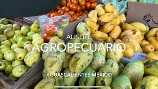 AGROPECUARIO Y PRECIOS EN AGUASCALIENTES AGS MÉXICO [upl. by Arym112]