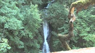 Accessible Adventures Water Falls Along the Historic Columbia River Highway [upl. by Lumbye]