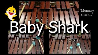 Baby Shark on Marimbas  Fun Percussion for Kids Play Along [upl. by Garlinda255]