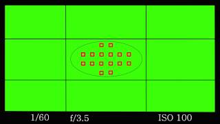 Free DSLR Viewfinder Green Screen Full HD [upl. by Eilama670]