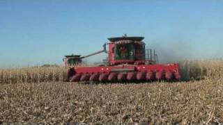 Farming in Iowa Case 8010 combines [upl. by Yardna]