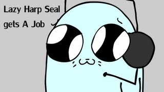 Lazy Harp Seal Gets a Job [upl. by Annai]