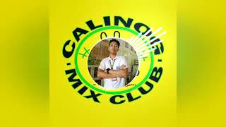 BEACHA DISCO CALINOG MIX CLUB CJ ORBINO REMIX [upl. by Chirlin852]