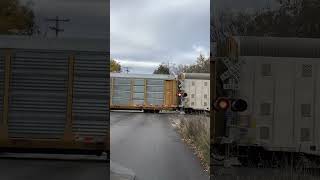 Train Stopped At Oakland Ave Decatur IL [upl. by Zoha419]