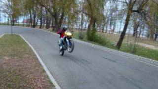 Aprilia Pegaso 125 [upl. by Brittnee]