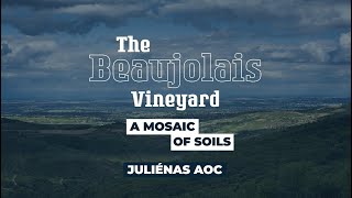 Juliénas  The Beaujolais Vineyard a Mosaic of Soils [upl. by Furgeson]