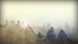 Trees and Fog Church Motion Graphic  Sharefaithcom [upl. by Ardet]