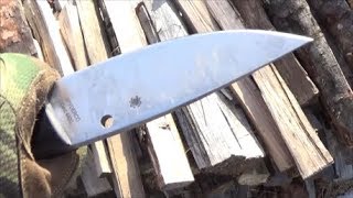 Spyderco Serrata Fixed Blade Knife Full Review [upl. by Allekim]