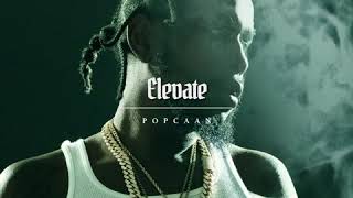 Popcaan  Elevate Official Audio [upl. by Blithe]