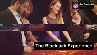 Blackjack Card Counting Experience 2024 [upl. by Yesrod]