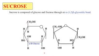 Structure of sucrose  Biochemistry [upl. by Benzel]