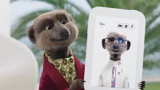 Compare the Meerkat  Advert 106 [upl. by Arramat]