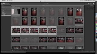 Development Lightroom Importing [upl. by Funch84]