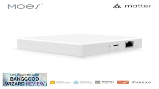 Moes Matter Smart Zigbe Home Bridge Matter Wired Gateway Hub Support Voice Review [upl. by Aveline]