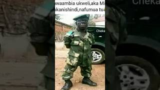 Utacheka na awa wanajeshi chekatu cheka stevemweusi comedy YouTube SteveMweusi [upl. by Ecnerual]