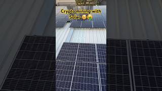 Crypto Mining with Solar Panels 🌞🤑 cryptocurrency bitcoin tech solarminer eth dogecoin wow [upl. by Messing]