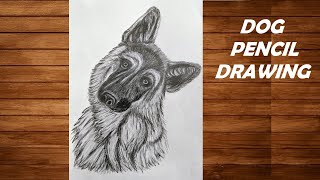 Dog Pencil Drawing  using indentation techniques  PraKritiArts Artwork Pencildrawing dog [upl. by Kuhn782]