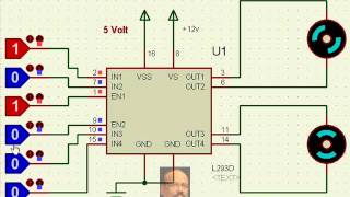 Microcontroller interface to Motor driver IC L293D [upl. by Hare]