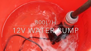 800lh 12v water pump [upl. by Azmuh]