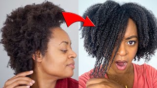 I tried a 4C Wash n Go for 14 DAYS  SUPER Detailed with Pictures [upl. by Elok436]